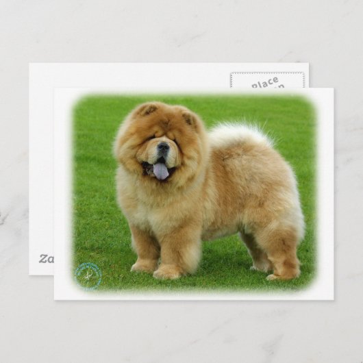 Chow Chow 9B008D-06 Postkarte (Vorne/Hinten)