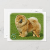Chow-Chow 9B008D-17 Postkarte (Vorne/Hinten)