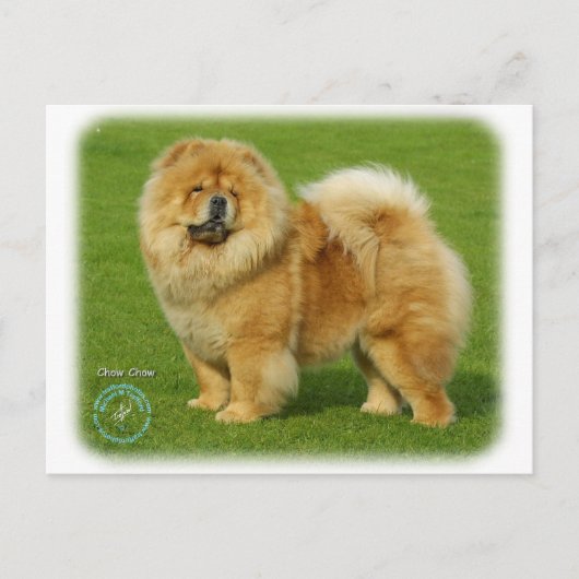 Chow-Chow 9B008D-17 Postkarte (Vorderseite)