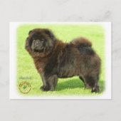 Chow-Chow 9B011D-08 Postkarte (Vorderseite)