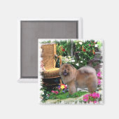 Chow Chow Art Geschenke Magnet (Vorderseite/Rückseite)