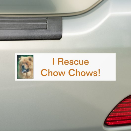 Chow-Chow Autoaufkleber (Auf Auto)