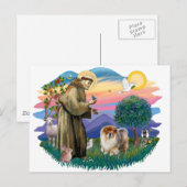 Chow Chow (B) Postkarte (Vorne/Hinten)