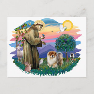 Chow Chow (B) Postkarte