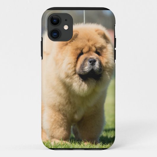 Chow-Chow Case-Mate iPhone Hülle (Rückseite)