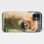 Chow-Chow Case-Mate iPhone Hülle (Rückseite (Horizontal))