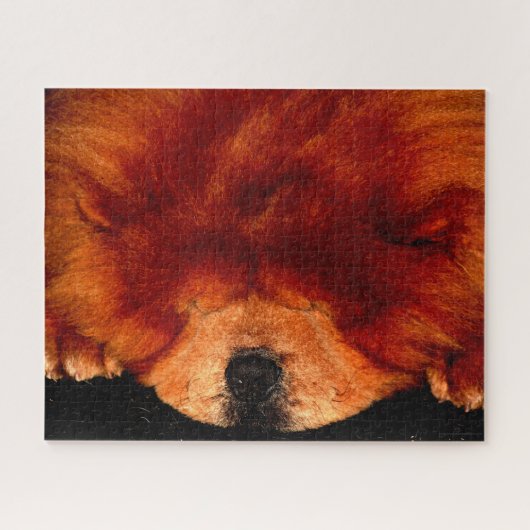 Chow Chow Chow 16x20 520pc jpcnm Puzzle (Horizontal)