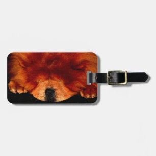 Chow Chow chow cd ltcna Gepäckanhänger