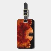 Chow Chow chow cd ltcna Gepäckanhänger (Vorderseite vertikal)