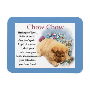 Chow-Chow Chow-Chow Erbe der Liebe Magnet