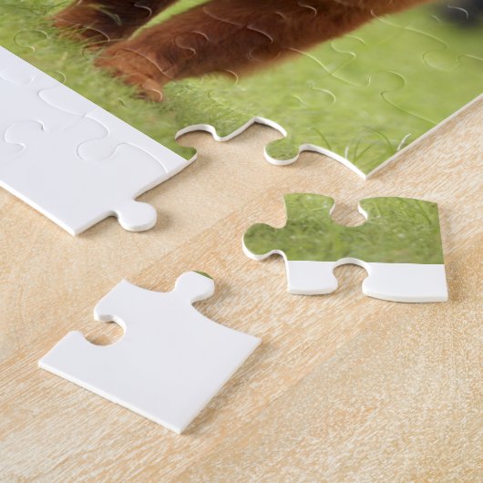 Chow-Chow Chow-Chow HundePosen Puzzle (Seite)