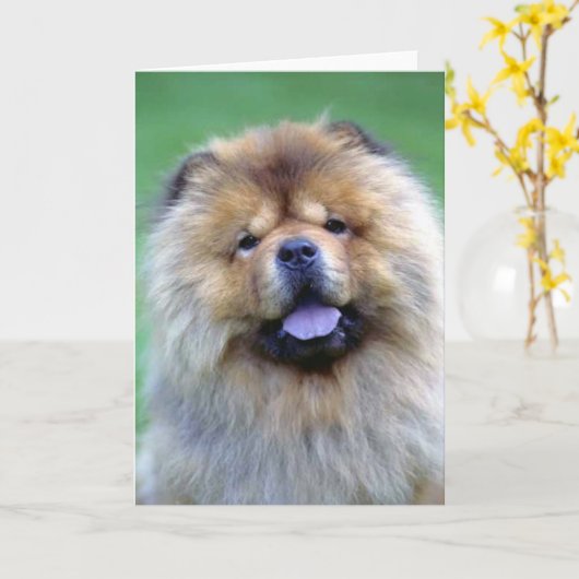Chow-Chow Chow-Chow Mitteilungskarten (Gelbe Blume)