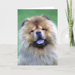 Chow-Chow Chow-Chow Mitteilungskarten