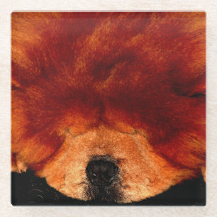 Chow Chow Chow Coast Glasuntersetzer