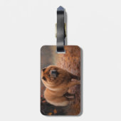 Chow Chow Chow im Herbst Leaves Inspiriert Gepäckanhänger (Rückseite vertikal)