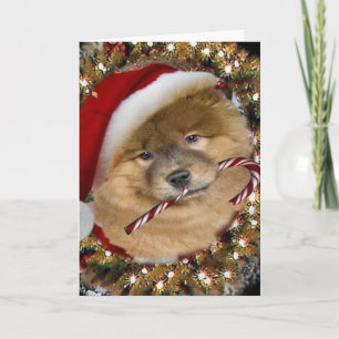 Chow Chow Christmas Candy Cane Cards Feiertagskarte