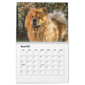 Chow Chow Dog Calendar Kalender (Mär 2027)
