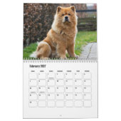 Chow Chow Dog Calendar Kalender (Feb 2027)