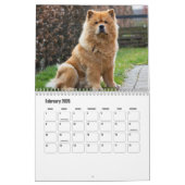 Chow Chow Dog Calendar Kalender (Feb 2026)