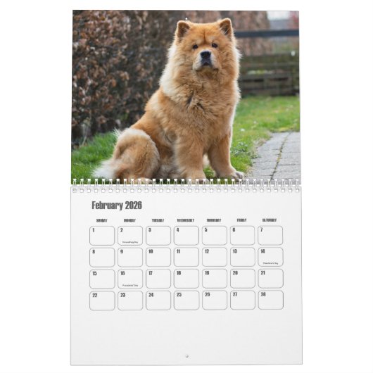 Chow Chow Dog Calendar Kalender (Feb 2026)
