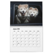 Chow Chow Dog Calendar Kalender (Jan 2026)