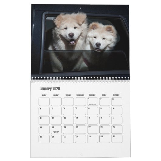 Chow Chow Dog Calendar Kalender (Jan 2026)