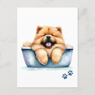 Chow Chow Dog Postkarte