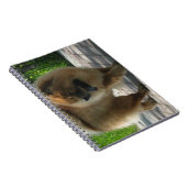 Chow-Chow full.png Notizblock (Rechte Seite)