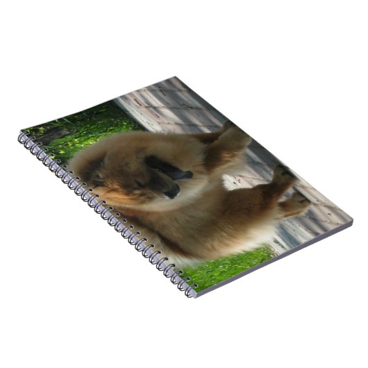 Chow-Chow full.png Notizblock (Rechte Seite)