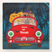 Chow Chow Hund Autofahren Auto Beängstigend Hallow Glasuntersetzer (Vorderseite)