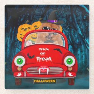 Chow Chow Hund Autofahren Auto Beängstigend Hallow Glasuntersetzer