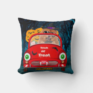 Chow Chow Hund Autofahren Auto Beängstigend Hallow Kissen