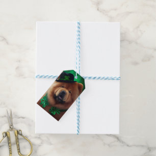 Chow Chow Hund im St. Patrick's Day Kleid Geschenkanhänger