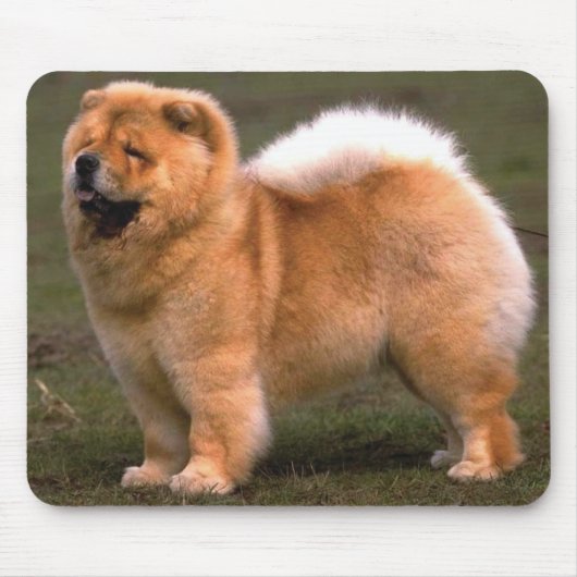 Chow-Chow-Hund Mousepad (Vorne)