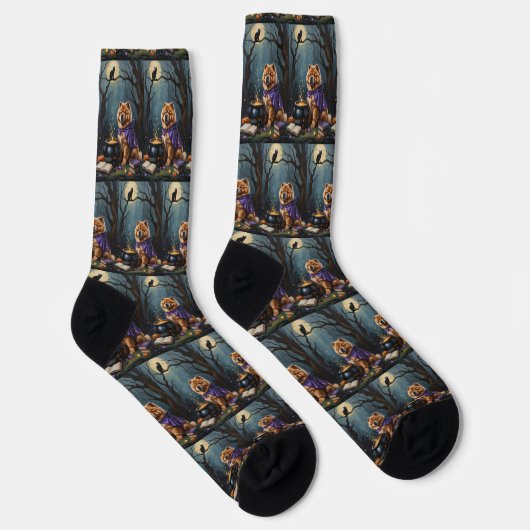 Chow Chow Hund Whimsical Halloween Malerei Socken (Rechts)