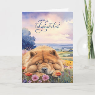 Chow Chow Hund Wildblumen Malerische Aussicht Verm Karte