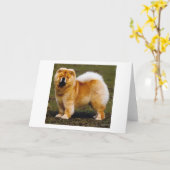 Chow-Chow-Hundeporträt-Raum-Gruß-Karte Karte (Gelbe Blume)