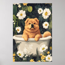 Chow Chow im Badewannenposter, Lustiges Hundeposte