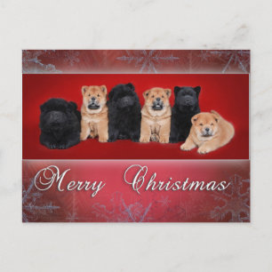 Chow-chow_kartka christmas feiertagspostkarte