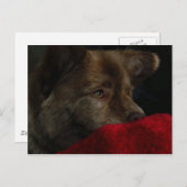 Chow-Chow Mischung mit Herzpostkarte Postkarte (Vorne/Hinten)