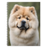 Chow Chow Notizblock (Vorderseite)