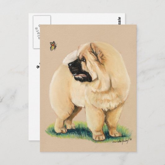 Chow Chow Original Hund Postkarte (Vorne/Hinten)