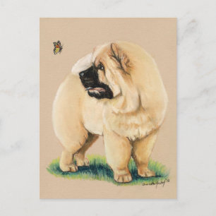 Chow Chow Original Hund Postkarte