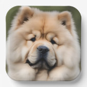 Chow Chow Pappteller (Vorderseite)