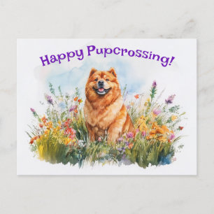 Chow Chow Postcross - Postkarte