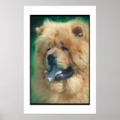 Chow Chow Poster (Vorne)