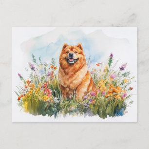 Chow Chow - Postkarte