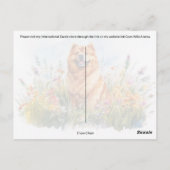 Chow Chow - Postkarte (Rückseite)