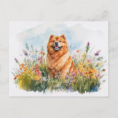Chow Chow - Postkarte (Vorderseite)