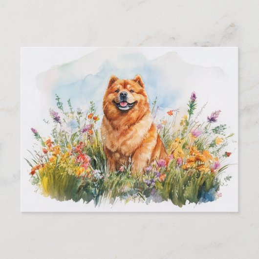 Chow Chow - Postkarte (Vorderseite)